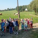 phoca_thumb_m_u mlnku  10 Fotogalerie